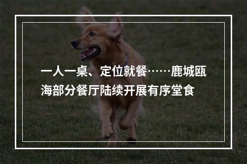一人一桌、定位就餐……鹿城瓯海部分餐厅陆续开展有序堂食
