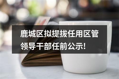 鹿城区拟提拔任用区管领导干部任前公示!