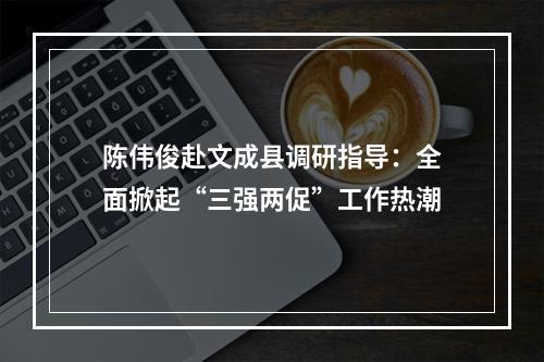 陈伟俊赴文成县调研指导：全面掀起“三强两促”工作热潮