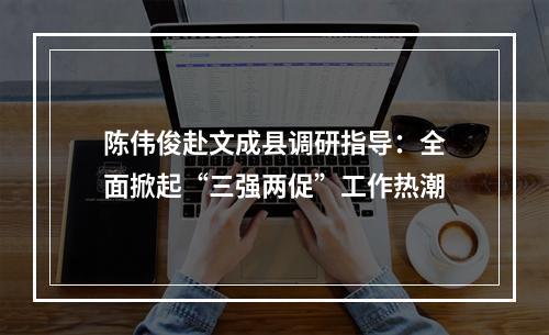 陈伟俊赴文成县调研指导：全面掀起“三强两促”工作热潮