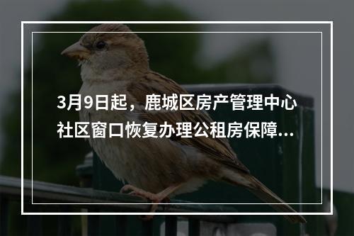 3月9日起，鹿城区房产管理中心社区窗口恢复办理公租房保障业务