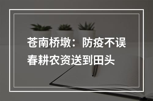 苍南桥墩：防疫不误春耕农资送到田头