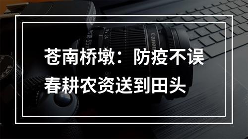 苍南桥墩：防疫不误春耕农资送到田头