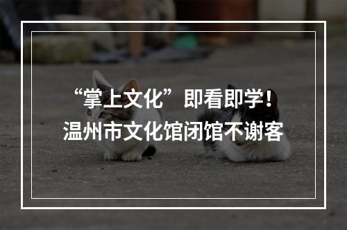 “掌上文化”即看即学！温州市文化馆闭馆不谢客