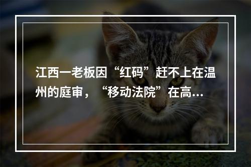 江西一老板因“红码”赶不上在温州的庭审，“移动法院”在高速上开庭了……
