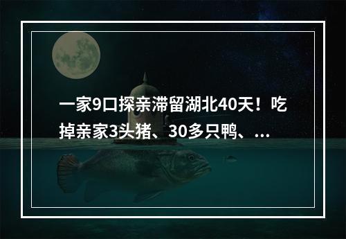一家9口探亲滞留湖北40天！吃掉亲家3头猪、30多只鸭、几百斤米