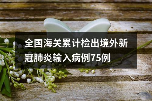 全国海关累计检出境外新冠肺炎输入病例75例