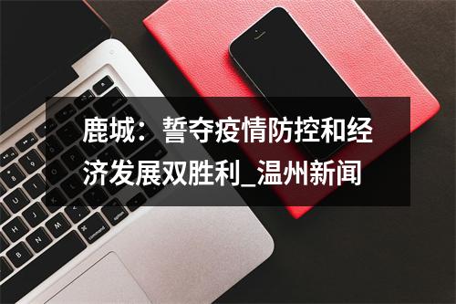 鹿城：誓夺疫情防控和经济发展双胜利_温州新闻