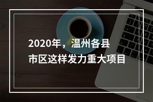 2020年，温州各县市区这样发力重大项目
