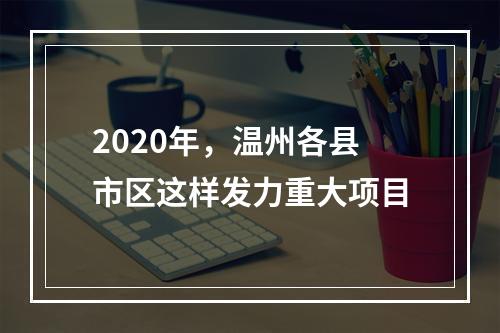 2020年，温州各县市区这样发力重大项目