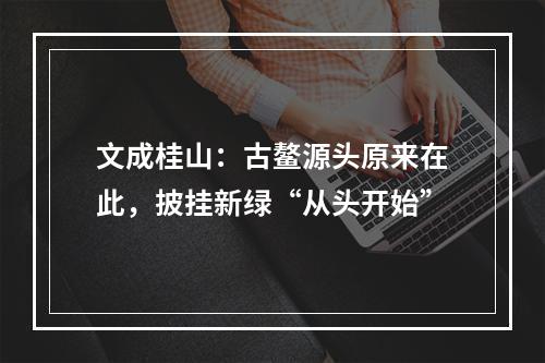 文成桂山：古鳌源头原来在此，披挂新绿“从头开始”