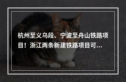 杭州至义乌段、宁波至舟山铁路项目！浙江两条新建铁路项目可研获批复