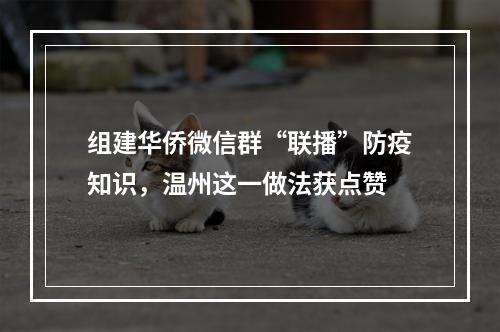 组建华侨微信群“联播”防疫知识，温州这一做法获点赞