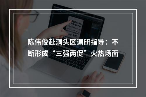 陈伟俊赴洞头区调研指导：不断形成“三强两促”火热场面