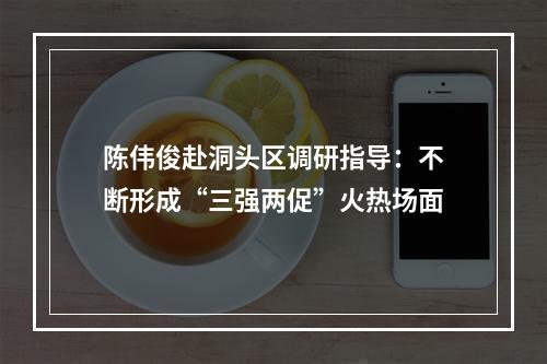 陈伟俊赴洞头区调研指导：不断形成“三强两促”火热场面