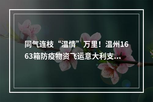同气连枝“温情”万里！温州1663箱防疫物资飞运意大利支援侨胞