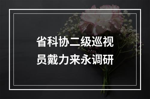 省科协二级巡视员戴力来永调研