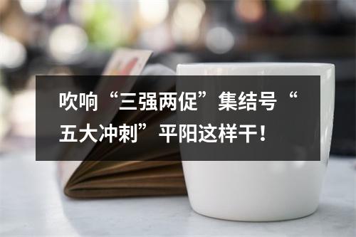 吹响“三强两促”集结号“五大冲刺”平阳这样干！
