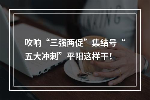 吹响“三强两促”集结号“五大冲刺”平阳这样干！
