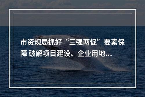 市资规局抓好“三强两促”要素保障 破解项目建设、企业用地困难