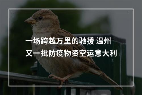 一场跨越万里的驰援 温州又一批防疫物资空运意大利