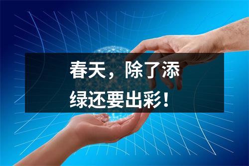 春天，除了添绿还要出彩！