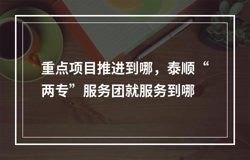 重点项目推进到哪，泰顺“两专”服务团就服务到哪