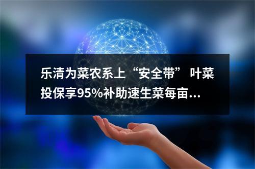 乐清为菜农系上“安全带” 叶菜投保享95%补助速生菜每亩补贴三百
