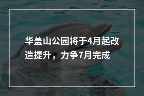 华盖山公园将于4月起改造提升，力争7月完成