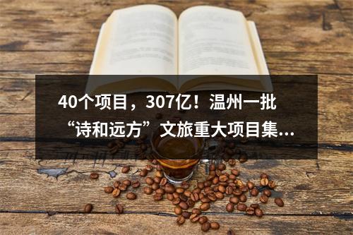 40个项目，307亿！温州一批“诗和远方”文旅重大项目集体开工
