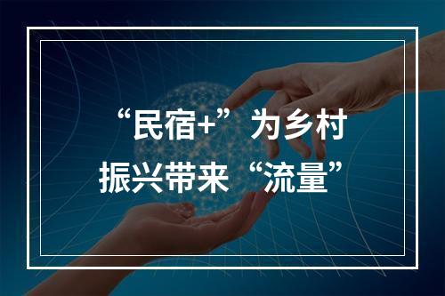 “民宿+”为乡村振兴带来“流量”