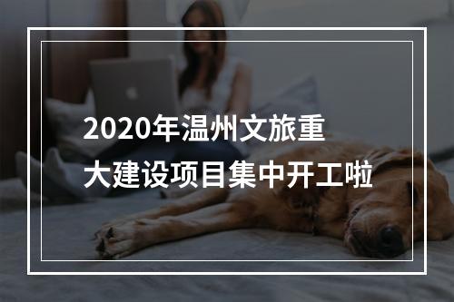 2020年温州文旅重大建设项目集中开工啦