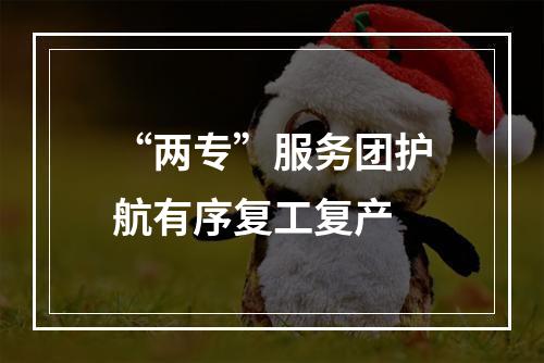 “两专”服务团护航有序复工复产