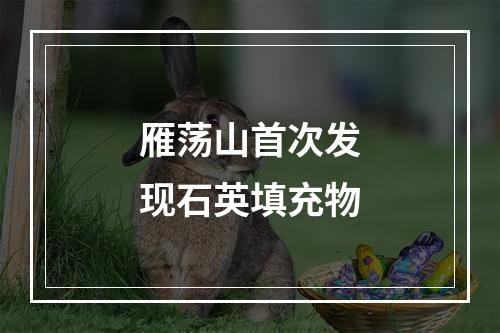 雁荡山首次发现石英填充物
