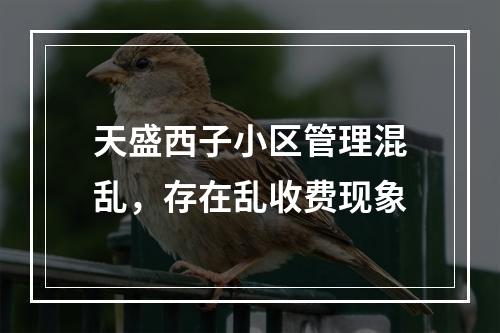 天盛西子小区管理混乱，存在乱收费现象