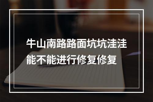 牛山南路路面坑坑洼洼能不能进行修复修复