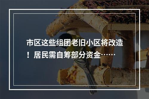 市区这些组团老旧小区将改造！居民需自筹部分资金……