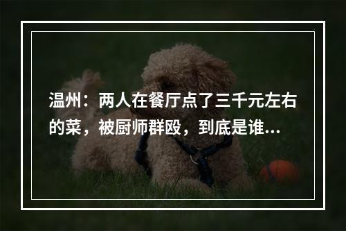 温州：两人在餐厅点了三千元左右的菜，被厨师群殴，到底是谁的错？