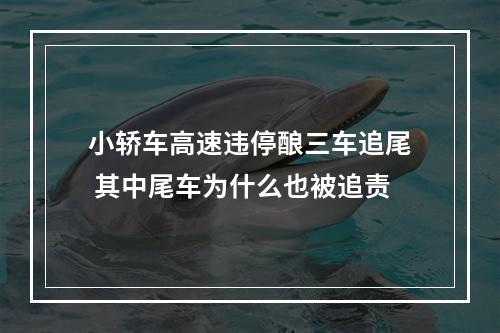 小轿车高速违停酿三车追尾 其中尾车为什么也被追责
