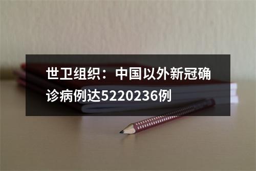 世卫组织：中国以外新冠确诊病例达5220236例