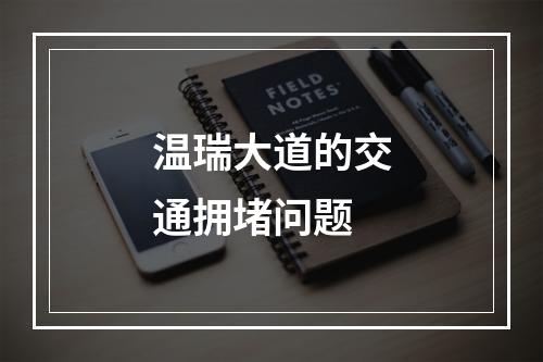 温瑞大道的交通拥堵问题