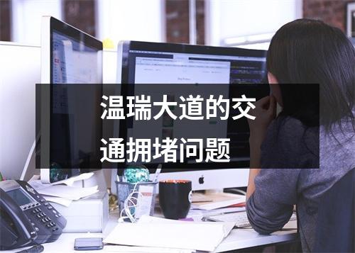 温瑞大道的交通拥堵问题
