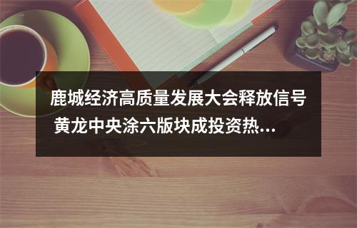 鹿城经济高质量发展大会释放信号 黄龙中央涂六版块成投资热土