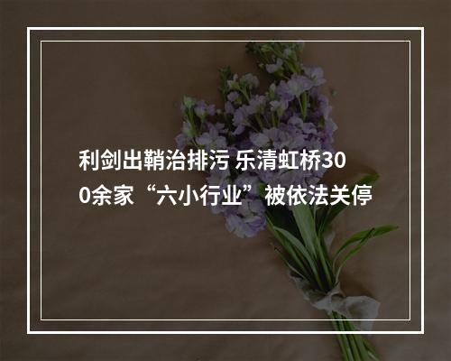 利剑出鞘治排污 乐清虹桥300余家“六小行业”被依法关停