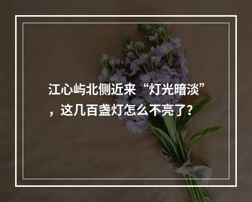江心屿北侧近来“灯光暗淡”，这几百盏灯怎么不亮了？