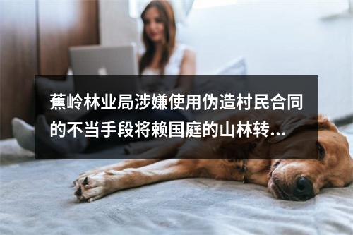 蕉岭林业局涉嫌使用伪造村民合同的不当手段将赖国庭的山林转让给龙思云