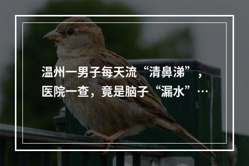 温州一男子每天流“清鼻涕”，医院一查，竟是脑子“漏水”…
