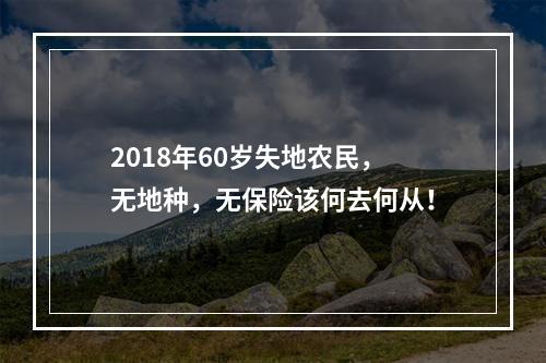 2018年60岁失地农民，无地种，无保险该何去何从！