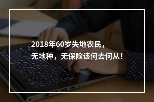 2018年60岁失地农民，无地种，无保险该何去何从！