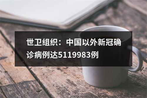 世卫组织：中国以外新冠确诊病例达5119983例